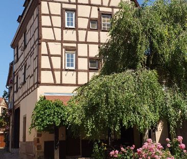 F1 26 m2 meublé centre Colmar - Photo 3