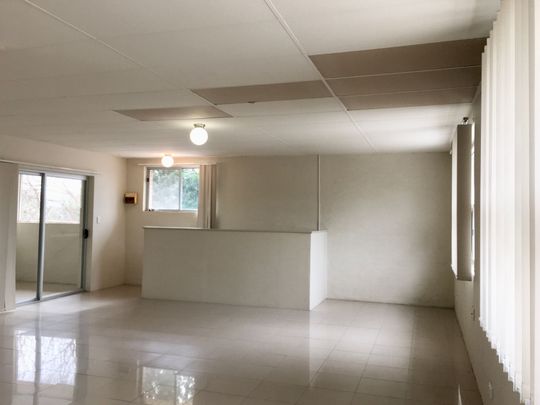 LARGE TWO BEDROOM APARTMENT! - Photo 1