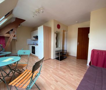 Location Appartement 1 pièce 20m² SAUMUR 49400 - Photo 2
