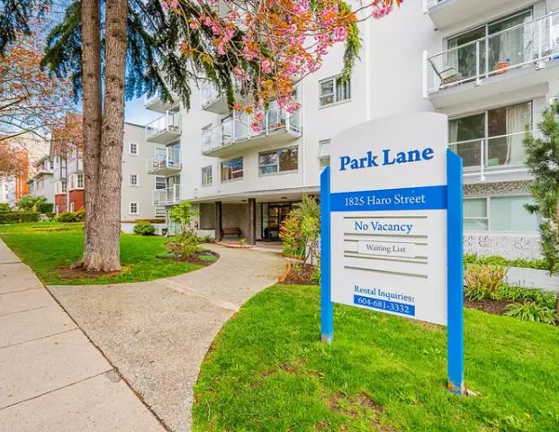 NEWLY RENOVATED CORNER 1 BEDROOM AVAILALBE WEST OF DENMAN | 1825 Haro Street, Vancouver - Photo 1