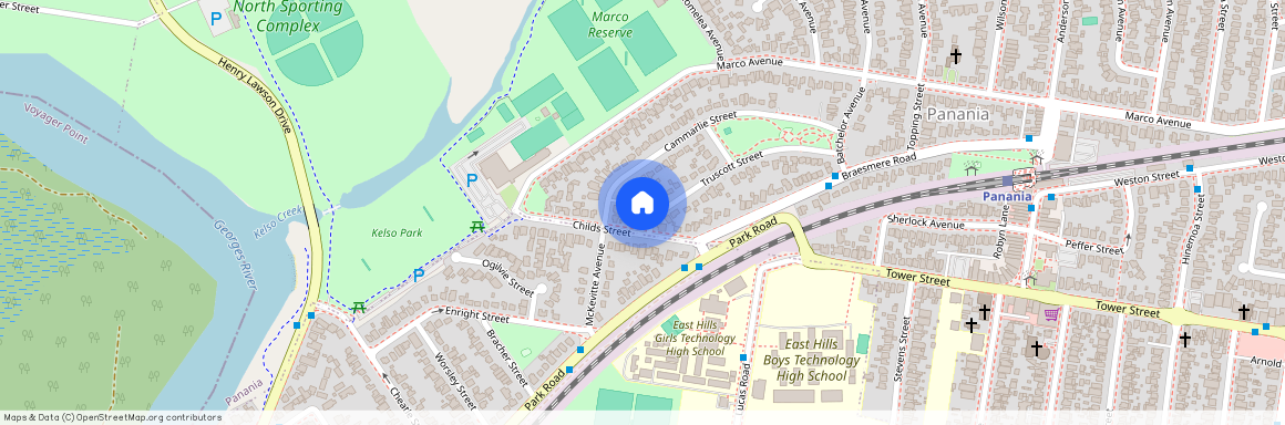 16 Truscott Street, NSW 2213, Panania