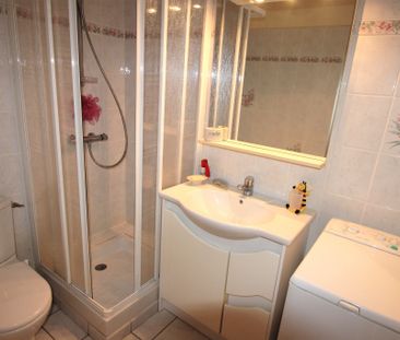 Location Appartement 1 pièce 33m² DECIZE 58300 - Photo 3
