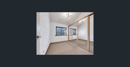 NATURAL LIGHT - Photo 3