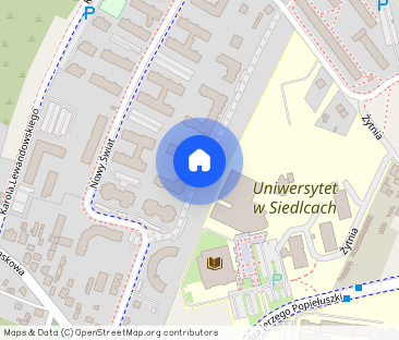 Atrakcyjne mieszkanie 3pok. ul. Nowy Swiat - Zdjęcie 1