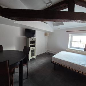 Location Appartement 1 pièce 19m² MACON 71000 - Photo 2