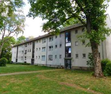 Schöne 2-Raumwohnung renoviert in ruhiger Lage am Crönpark... - Foto 2