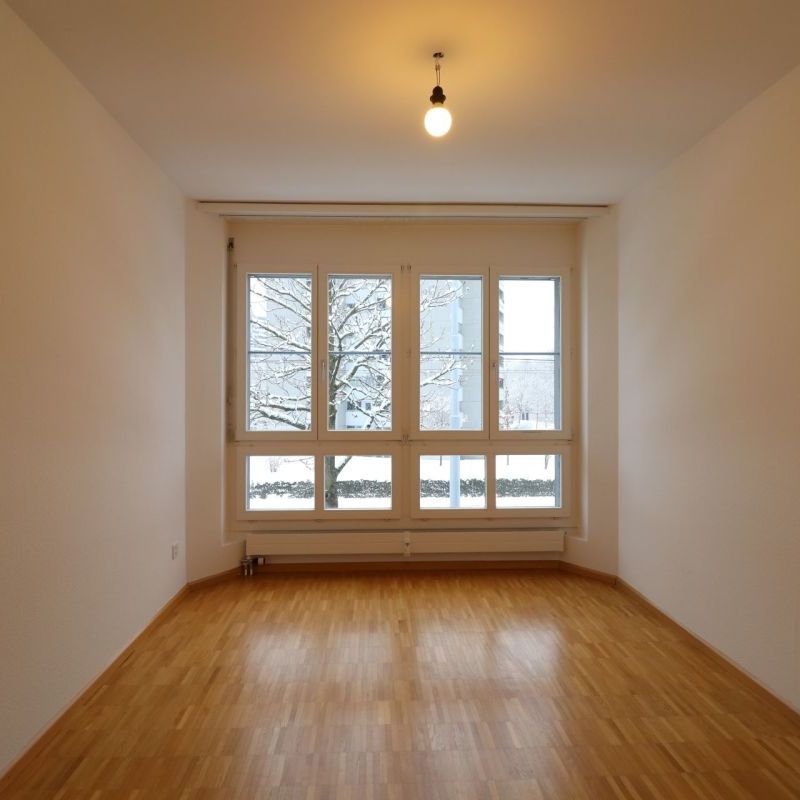 Nähe Gartenbad Eglisee und Lange Erlen - gemütliche 4-Zimmerwohnung im 1.OG - Foto 1