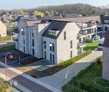 Gelijkvloers appartement te huur in Schellebelle - Photo 1
