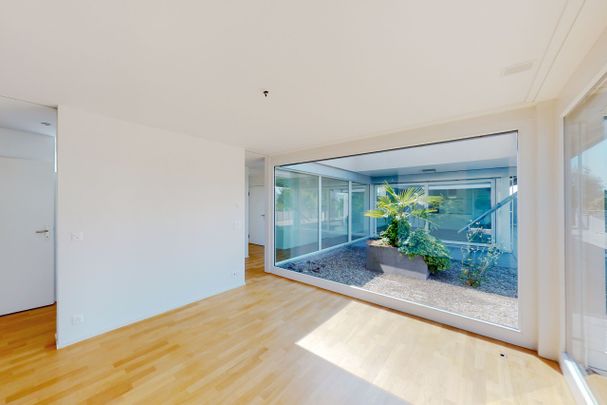 Modern attic apartment with large terrace for rent - Foto 1