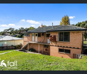Elevated Top Floor Living with Space & Convenience - Photo 4