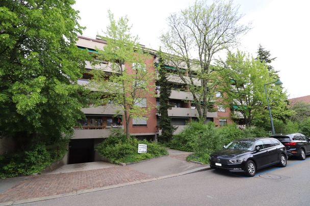 Schöne 2 1/2 Zimmer-Wohnung in Birsfelden befristet zu vermieten - Photo 1