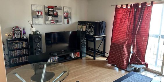 37 Rue Saint-Hyacinthe ? Magnifique Appartement à Louer – 37 Rue Saint-Hyacinthe, Hull! ? - Photo 3
