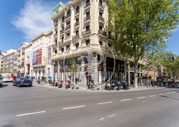 Flat for rent in Malasaña - Universidad (Madrid)