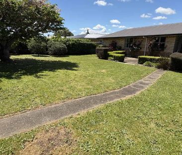 Available NOW! Sunny & Warm 3 Bedroom Family Home - Photo 5