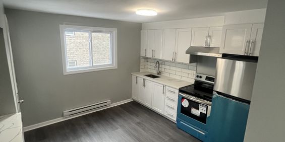Superbe Appartement 1CC, Vieux-Hull - Photo 3