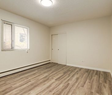 Renovated Suite - 1 Bedroom - Photo 1