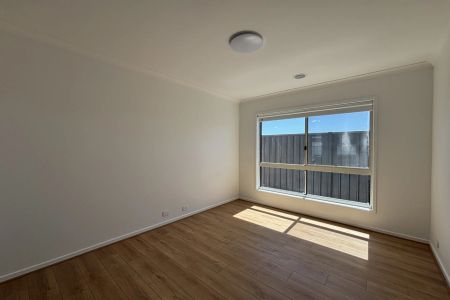 Stunning & Brand New - Photo 2