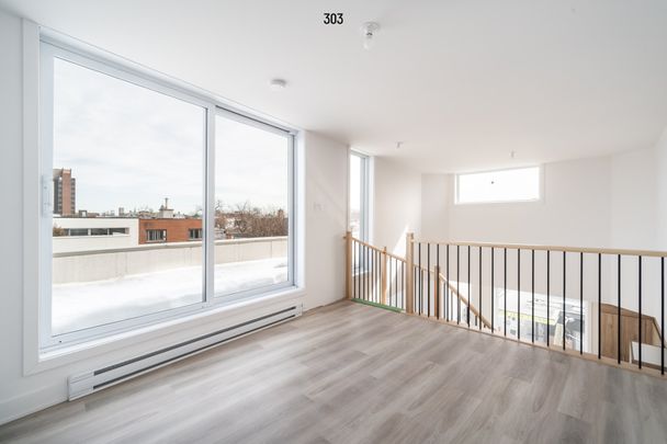 Condo for rent, Montréal (Rosemont/La Petite-Patrie) - Photo 1