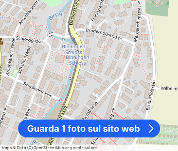 bright and modern apartment in the castle of Binningen - Foto 1