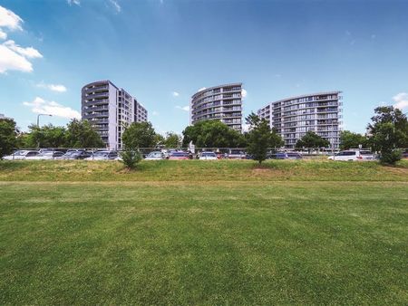 341/1 Mouat Street, Lyneham ACT 2602 - Apartment For Rent | Domain - Photo 3