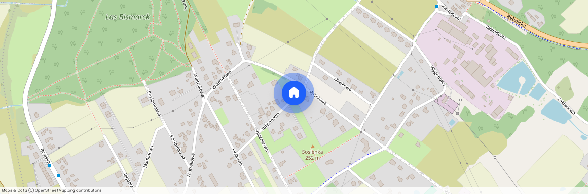 ul. Tulipanowa, Racibórz, raciborski, śląskie