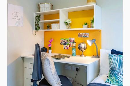 Premier Studio W/ Accessible Bathroom - Photo 2