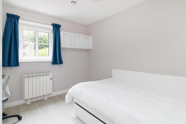 3 bedroom apartment to rent - Photo 1