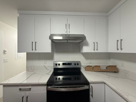 Brand New 2 Bedroom/1 Bathroom Suite – Pacific Douglas, South Surrey/White Rock - Photo 3