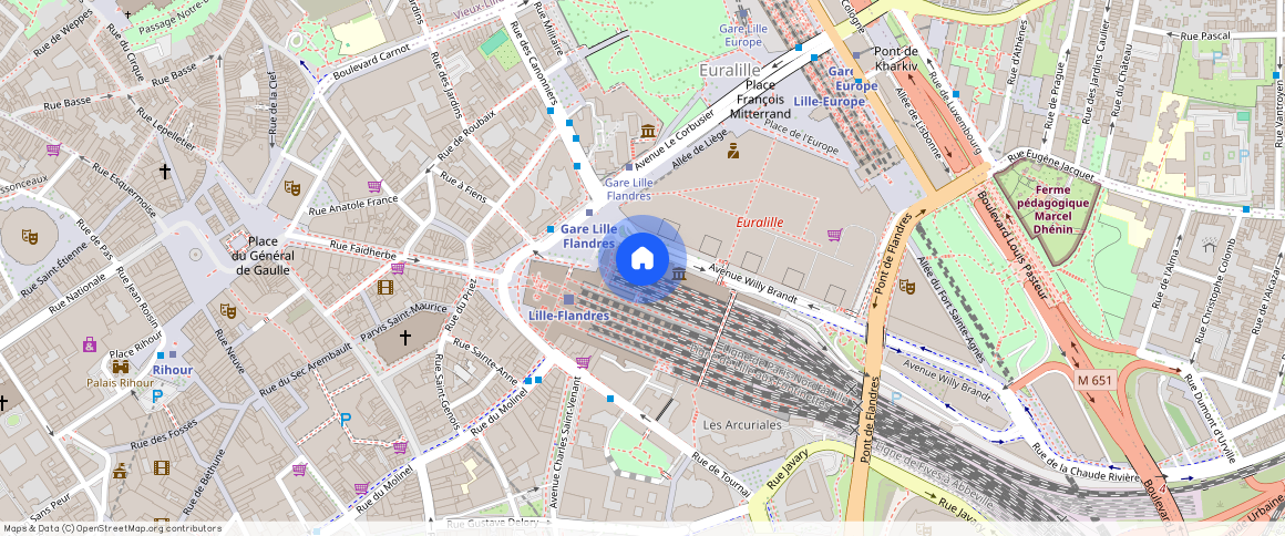 Lille, (59800)