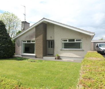 16 Coolshinney Heights, Magherafelt, BT45 5JH - Photo 2