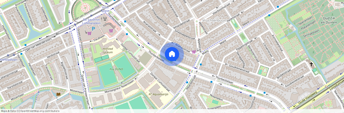 Thorbeckelaan 457, 2564CB, 'S-Gravenhage