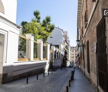 madrid, Community of Madrid 28013 - Photo 2