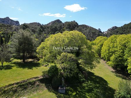 Location à Saint Rémy de Provence, à la sortie du village: Mas de Tibère - Piscine chauffée - - Photo 3