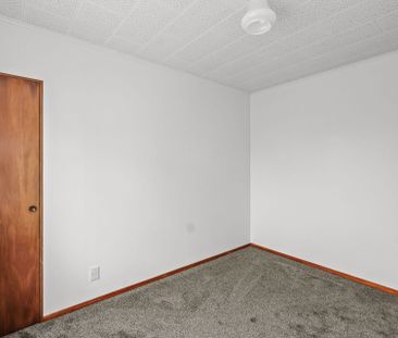 Newly Renovated Unit - Photo 3