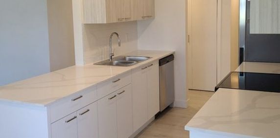 Conifer Place #3 - Photo 2