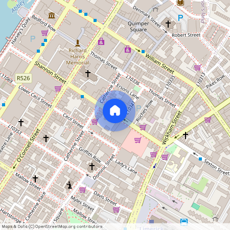 Blueberry House, Roches St, Prior's-Land, Limerick, Ireland