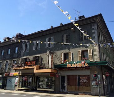 Location Appartement 2 pièces 48m² SALLANCHES 74700 - Photo 6