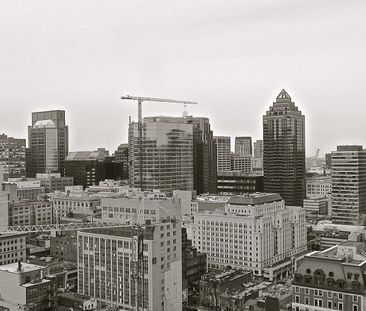 Appartement à louer, Montréal (Ville-Marie) - Photo 4