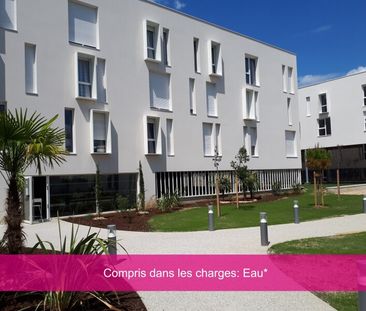 Location Appartement 1 pièce 22m² VILLENAVE D ORNON 33140 - Photo 2