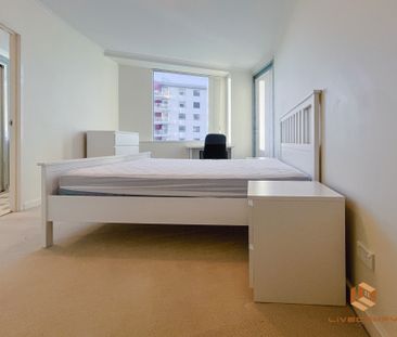 Canberra CBD - Photo 5