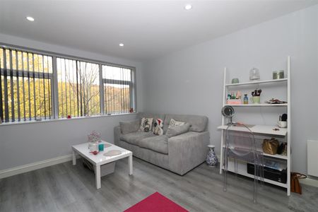1 bedroom studio apartment to rent - Photo 4