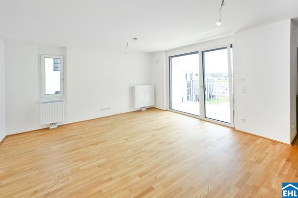 DER BALLON - Ankommen und abheben - NATURNAHES WOHNEN NAHE DER SEESTADT ASPERN - Photo 1