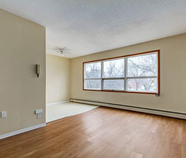 Renovated Suite - 1 Bedroom - Photo 2