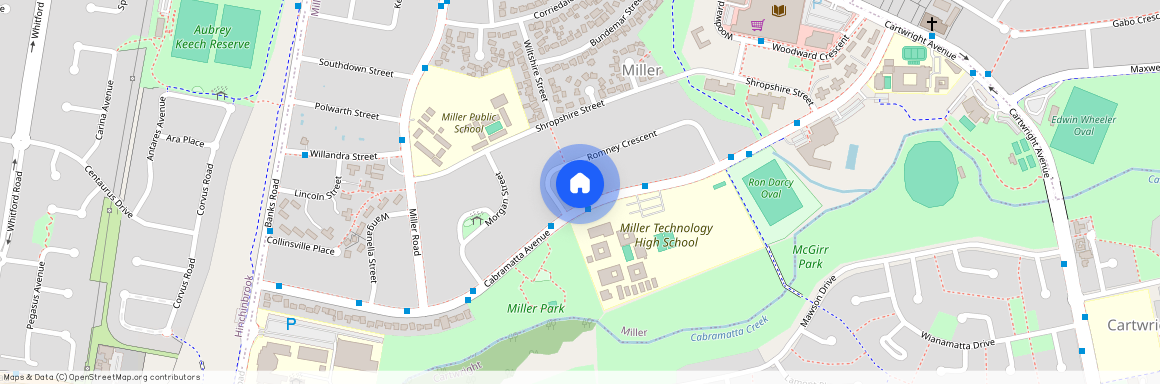 65A Cabramatta Ave, NSW 2168, Miller