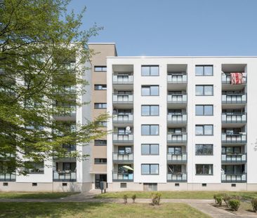 Demnächst frei! 3-Zimmer-Wohnung in Göttingen Grone-Süd - Photo 1