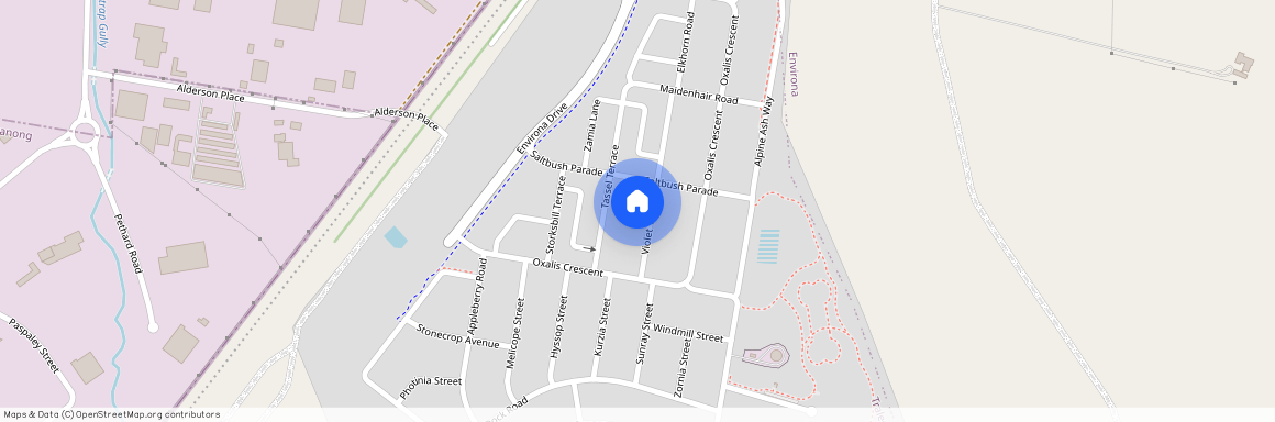 19 Violet Terrace, NSW 2620, Tralee