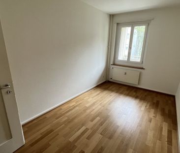 In der Breite zwischen dem Rhein, der Birs und dem St. Albanteich - Photo 1