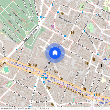 Paris 18ème, Rue Lepic