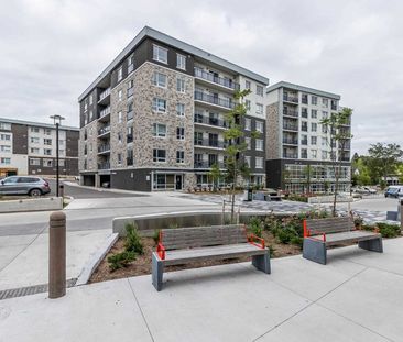 For Lease - 275 Larch Street Unit# 401H, Waterloo, Ontario - Photo 4