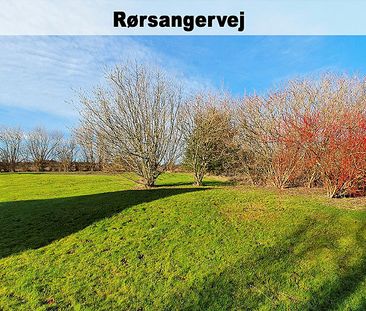 Rørsangervej,Teglvænget,Birkefredsvej 446-0 - Photo 4